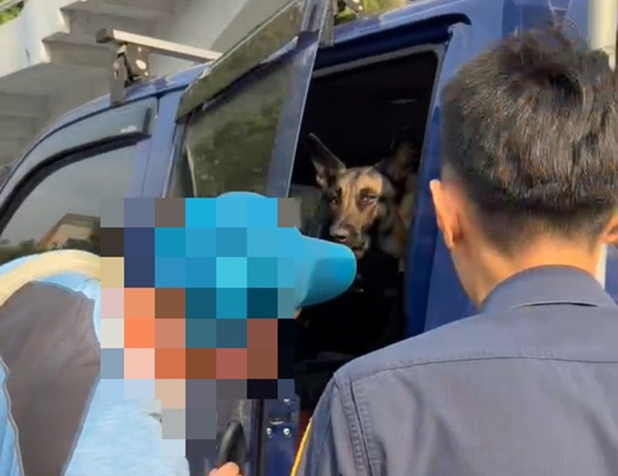 ▲圖說：警迅速找回澳洲男子愛車時，赫然見到車內還有愛犬在吹冷氣，乖乖守候主人回來               （圖／台中市政府  提供）